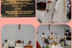 peresmian-wangon0